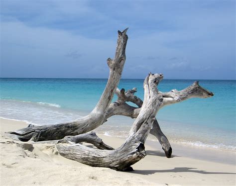 The driftwood - For All of Our 2023 SEASONAL RATES: Please call and reserve your rooms NOW! Don't miss strolling on our private, white, sandy beach. and soaking up all the sun you can handle.